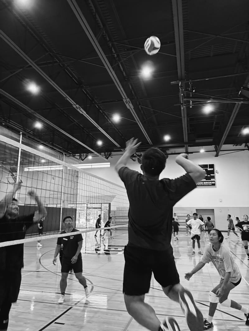 Volleyball